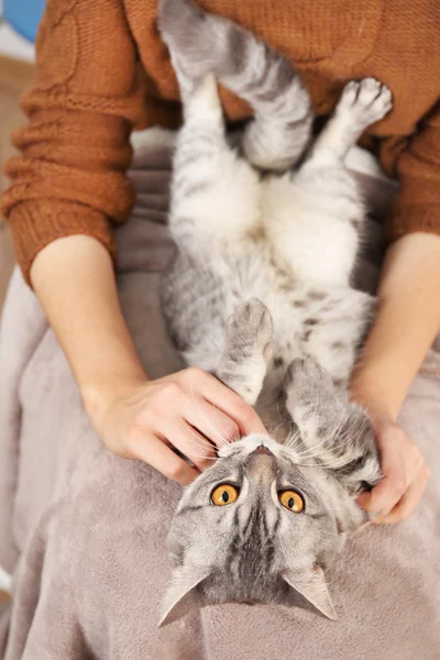 Frau mit schöner grauer Katze — Stockfoto