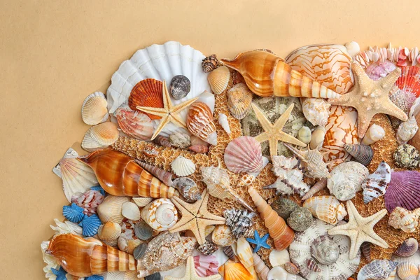 Sea shells on beige — Stock Photo, Image