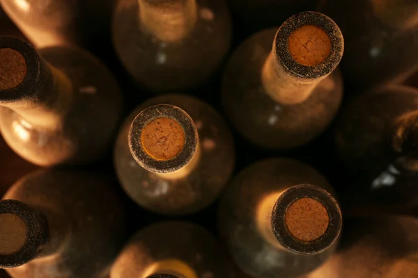 Dusty wine bottles — Stock Photo, Image