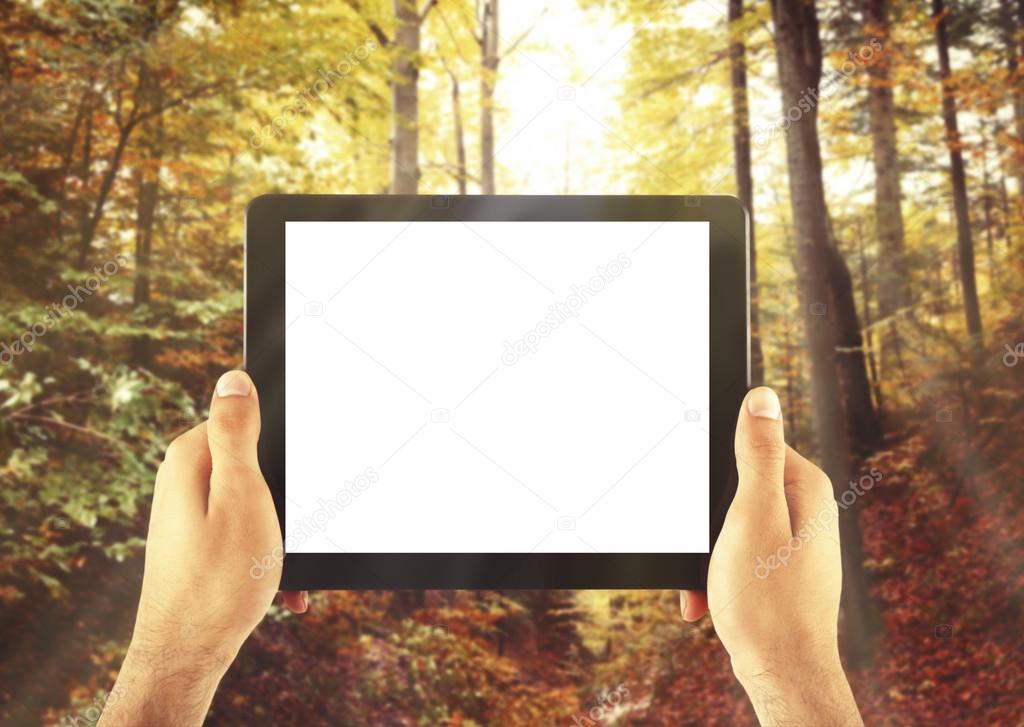 Male hands holding tablet 