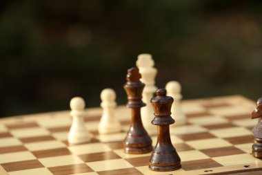Satranç taşları ve doğa arka plan üzerinde oyun tahtası