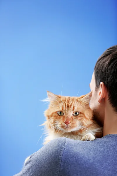 Gato vermelho fofo sentado no ombro de um homem — Fotografia de Stock