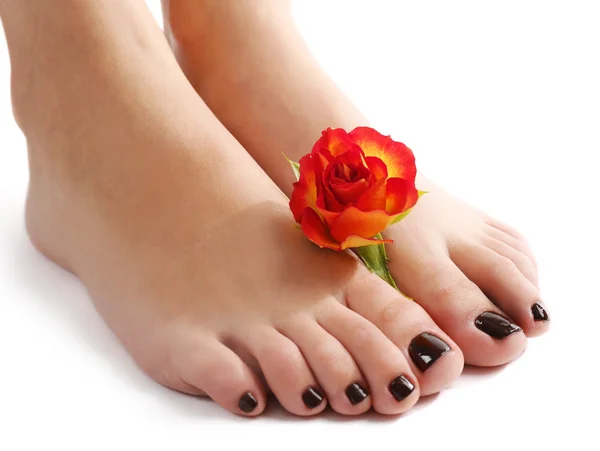 Gepflegte weibliche Füße mit Blüte isoliert auf weiß — Stockfoto