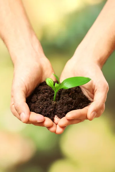 Male hands holding soil — Stock Photo, Image