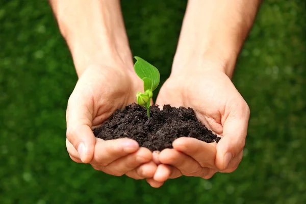 Male hands holding soil — Stock Photo, Image