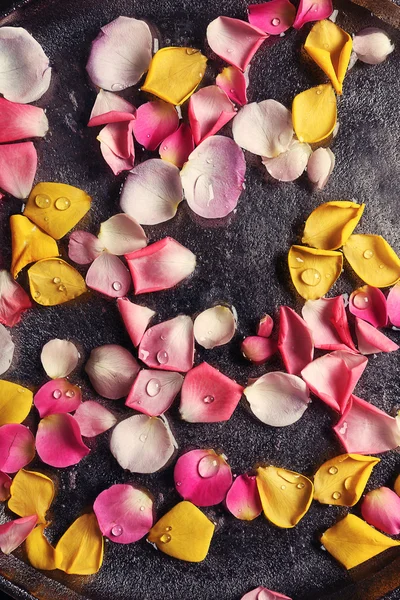 Pink and yellow rose petals in silver bowl with water, close up — Stock Photo, Image