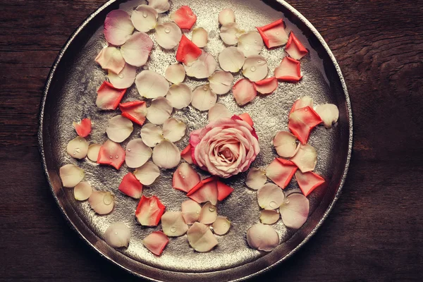 Růžové a bílé růží v stříbrná mísa na dřevěné pozadí — Stock fotografie