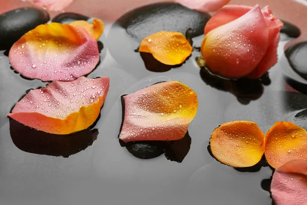 물과 검은 돌, 분홍색 및 노란 장미 꽃잎을 닫기 — 스톡 사진
