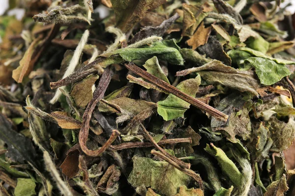 Dry white tea on background — Stock Photo, Image