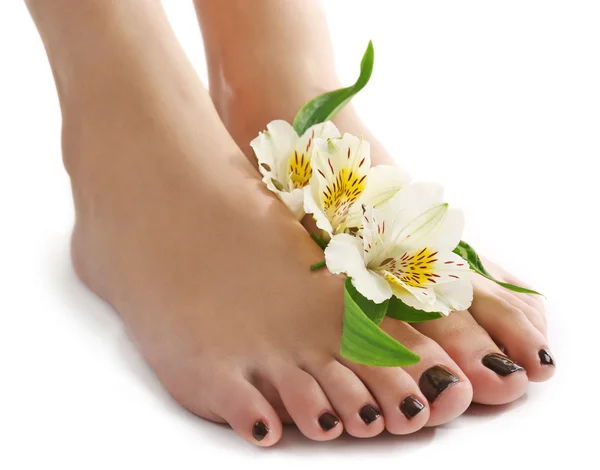 Välklippta kvinnliga fötter med blommor isolerad på vit Royaltyfria Stockfoton