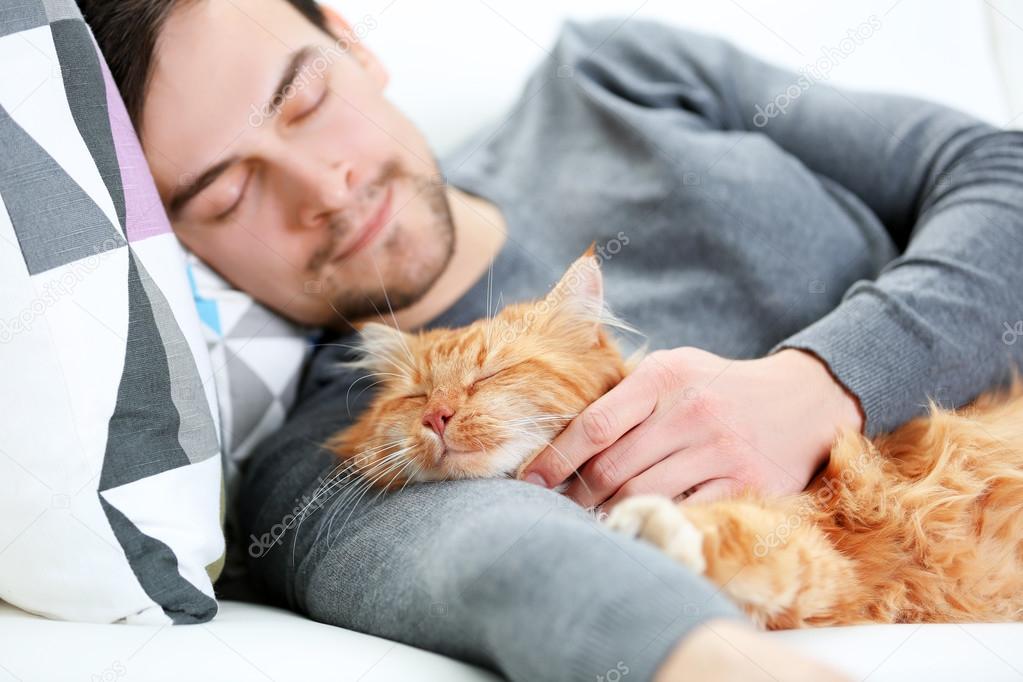 Кот хозяин человека. Interact with cats. Девочка спит с котом. Кот хозяин человека. Коты и хозяева.