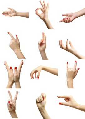 Set of female hands gestures clipart