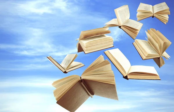 Flygande böcker om mulen himmel — Stockfoto