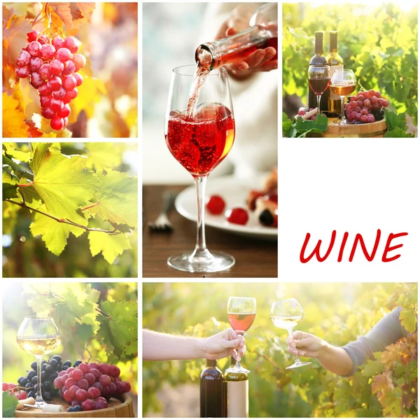 Collage with beautiful wine images, outdoors. — Stock Photo, Image