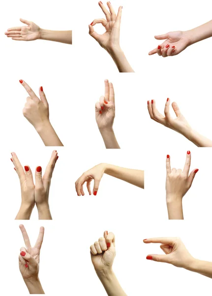 Set of female hands gestures — Stock Photo, Image