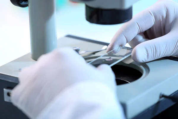 Clinician studying  in laboratory — Stock Photo, Image