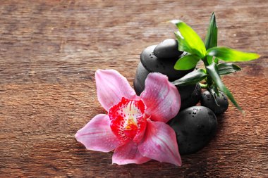 bambu ile Spa taşlar 