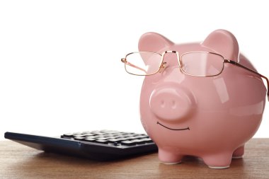 Gözlüklü domuz kumbarası