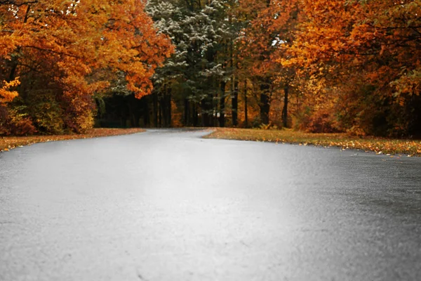 Schöner Herbstpark — Stockfoto