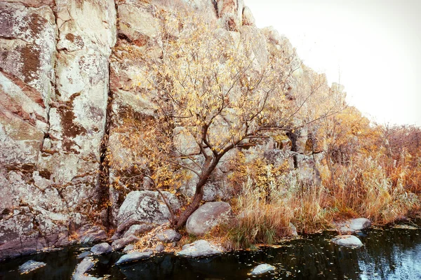 Pintoresco río de montaña — Foto de Stock