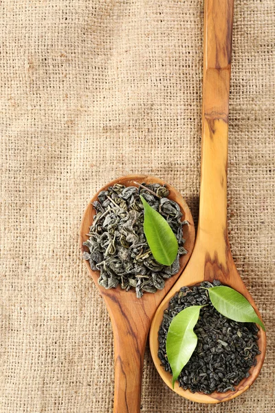 Dry tea with green leaves in wooden spoons on burlap background — Stock Photo, Image