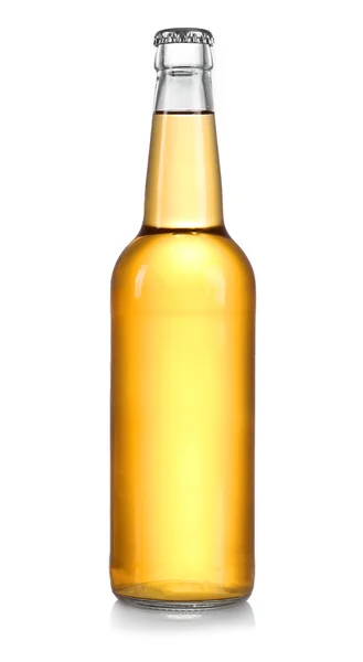 Lasipullo lager olutta vaaleanharmaalla pohjalla — kuvapankkivalokuva