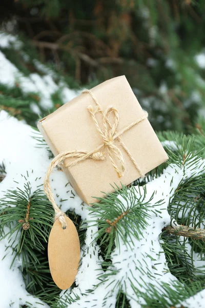 Presente de Natal em ramos de abeto — Fotografia de Stock