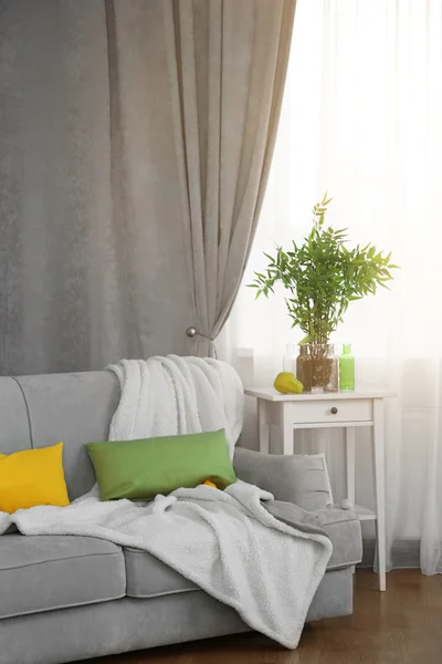Sofá gris y mesa pequeña con planta verde sobre fondo cortina — Foto de Stock