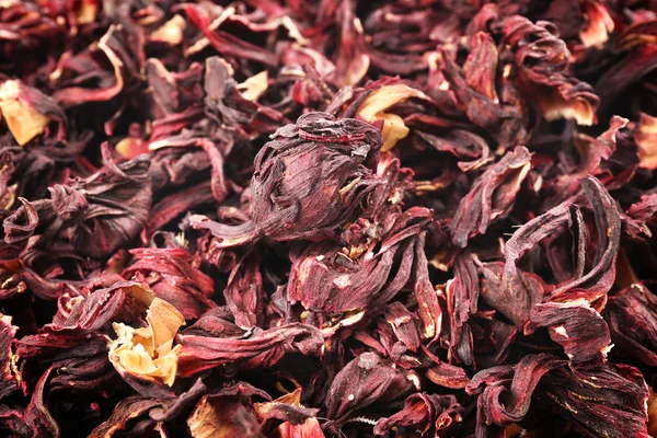 Hibiscus Secco Primo Piano — Foto Stock