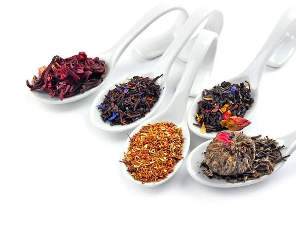 Diferentes tipos de té seco en cucharas de cerámica, aislado en blanco — Foto de Stock