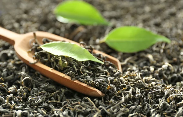 Té seco con hojas verdes en plato negro, primer plano —  Fotos de Stock