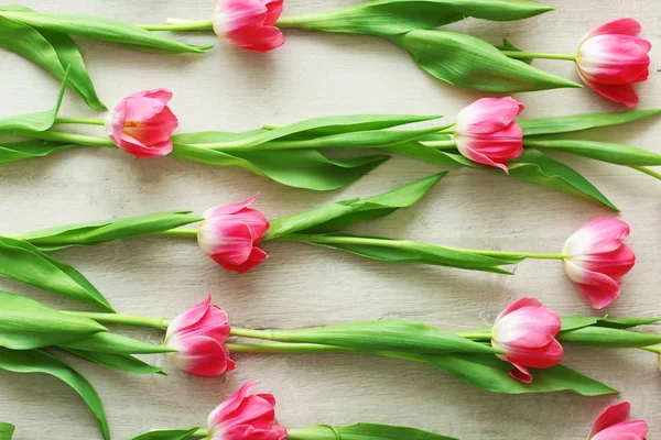 Розовые свежие тюльпаны на белом столе, вид сверху — стоковое фото