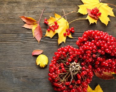 Kartopu ve renkli yaprakları