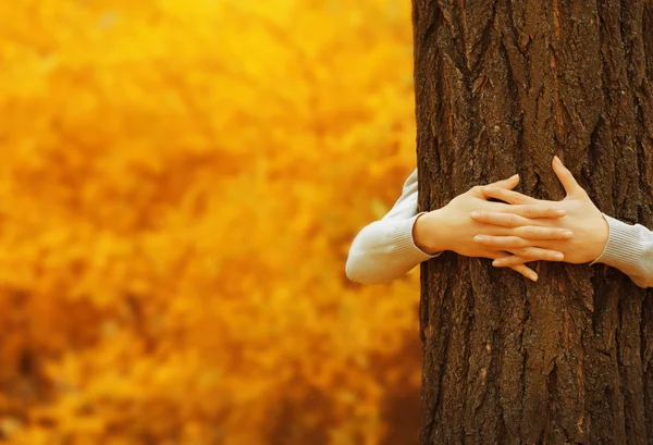 Χέρια που αγκαλιάζει το δέντρο — Φωτογραφία Αρχείου