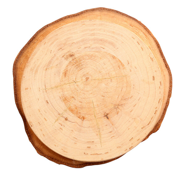 Wood round slice