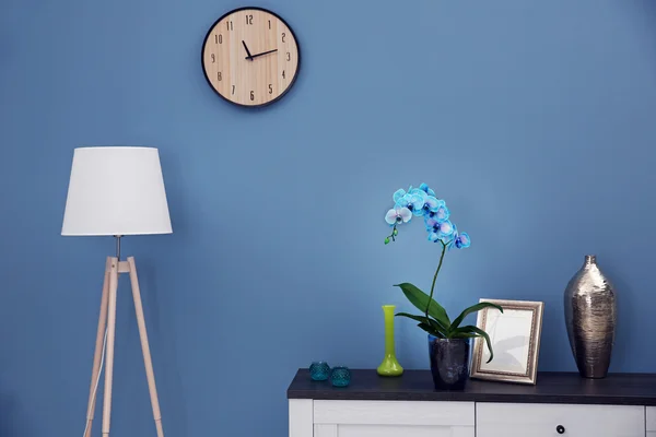 Flores de orquídea azul en el interior — Foto de Stock