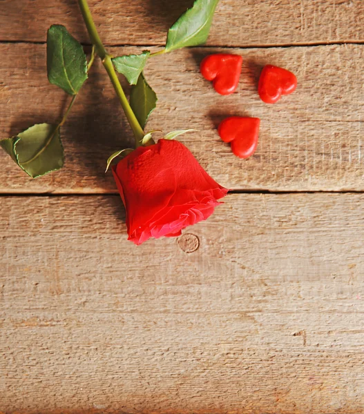 Красивая роза с маленькими сердцами — стоковое фото