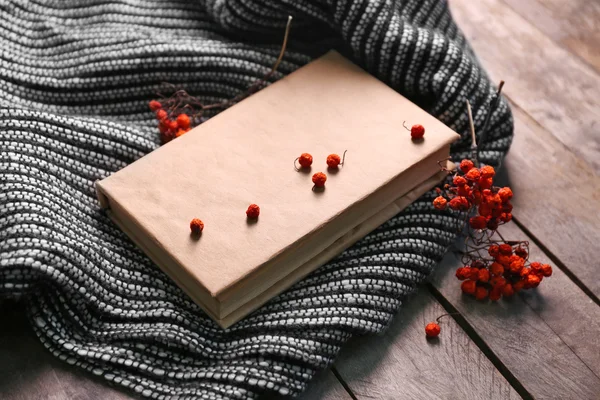 Un libro, bacche di sorbo e una coperta — Foto Stock