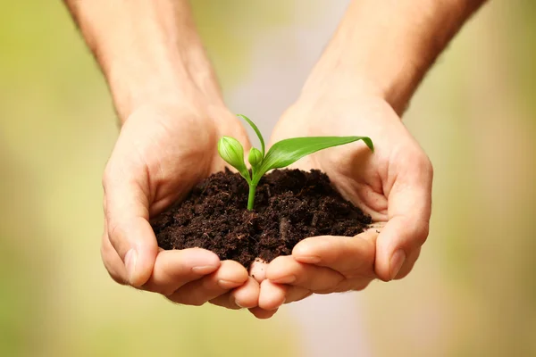 Mãos que prendem solo e planta — Fotografia de Stock