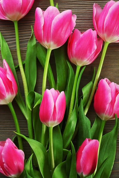 Свіжі рожеві тюльпани — стокове фото