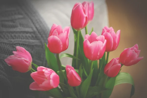 Verse roze tulpen — Stockfoto