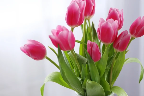 Frische rosa Tulpen — Stockfoto