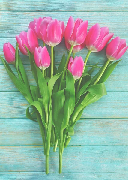 Frische rosa Tulpen — Stockfoto