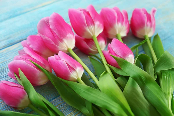 Frische rosa Tulpen — Stockfoto