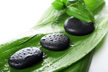 Bambu taşlarla sıcak spa