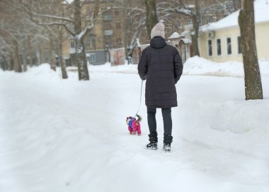 Köpeğiyle gezen kadın.