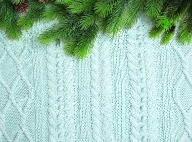 Çam çırpı ve koniler 