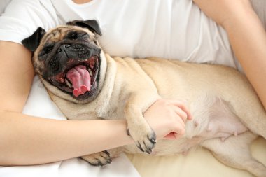 Kadın ve pug köpek