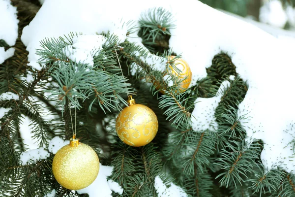 फायर वृक्ष वर ख्रिसमस खेळणी — स्टॉक फोटो, इमेज