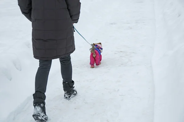 Frau geht mit Hund spazieren — Stockfoto